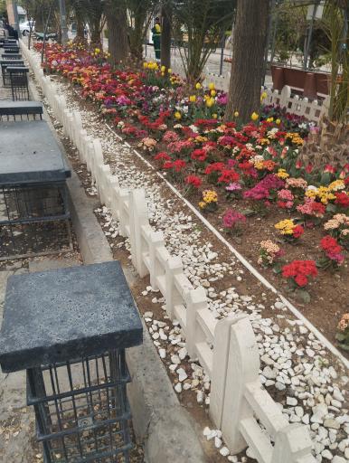 عکس میدان بوستان بهاران