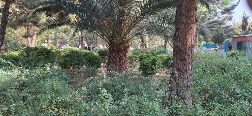 عکس میدان بوستان بهاران
