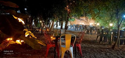 عکس کافه باغ کاکتوس