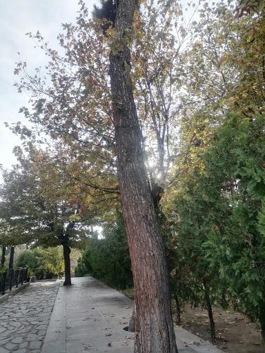 عکس فرهنگسرای امام (ره)