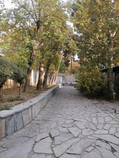 عکس فرهنگسرای امام (ره)