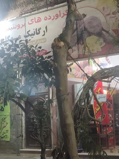 عکس فراورده های پروتئینی ارگانیک مهگل