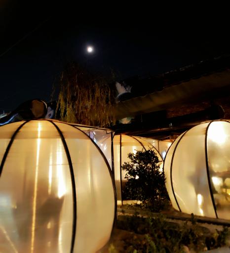 عکس کافه رستوران ایتالیایی دامو