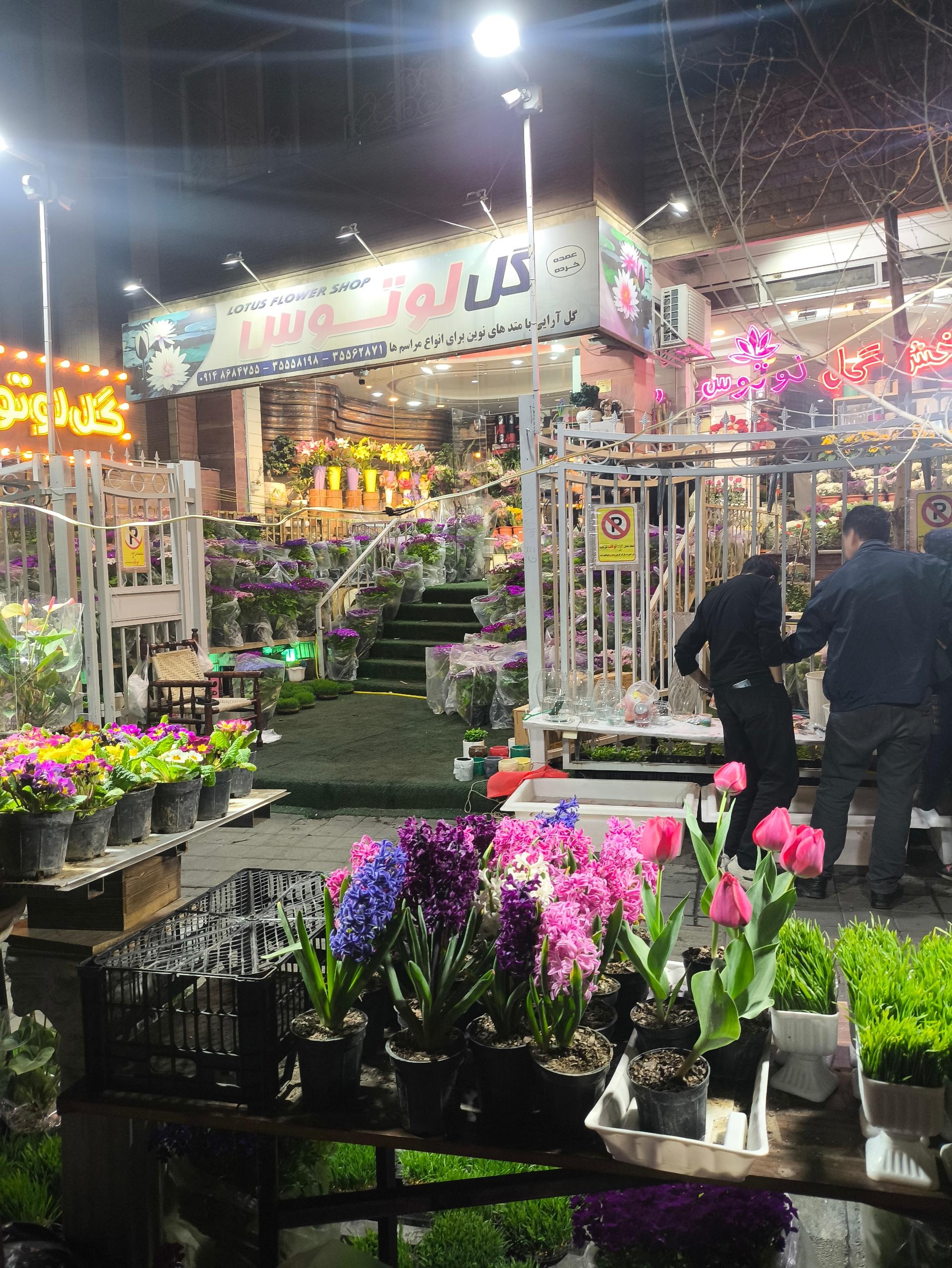 عکس گل فروشی لوتوس