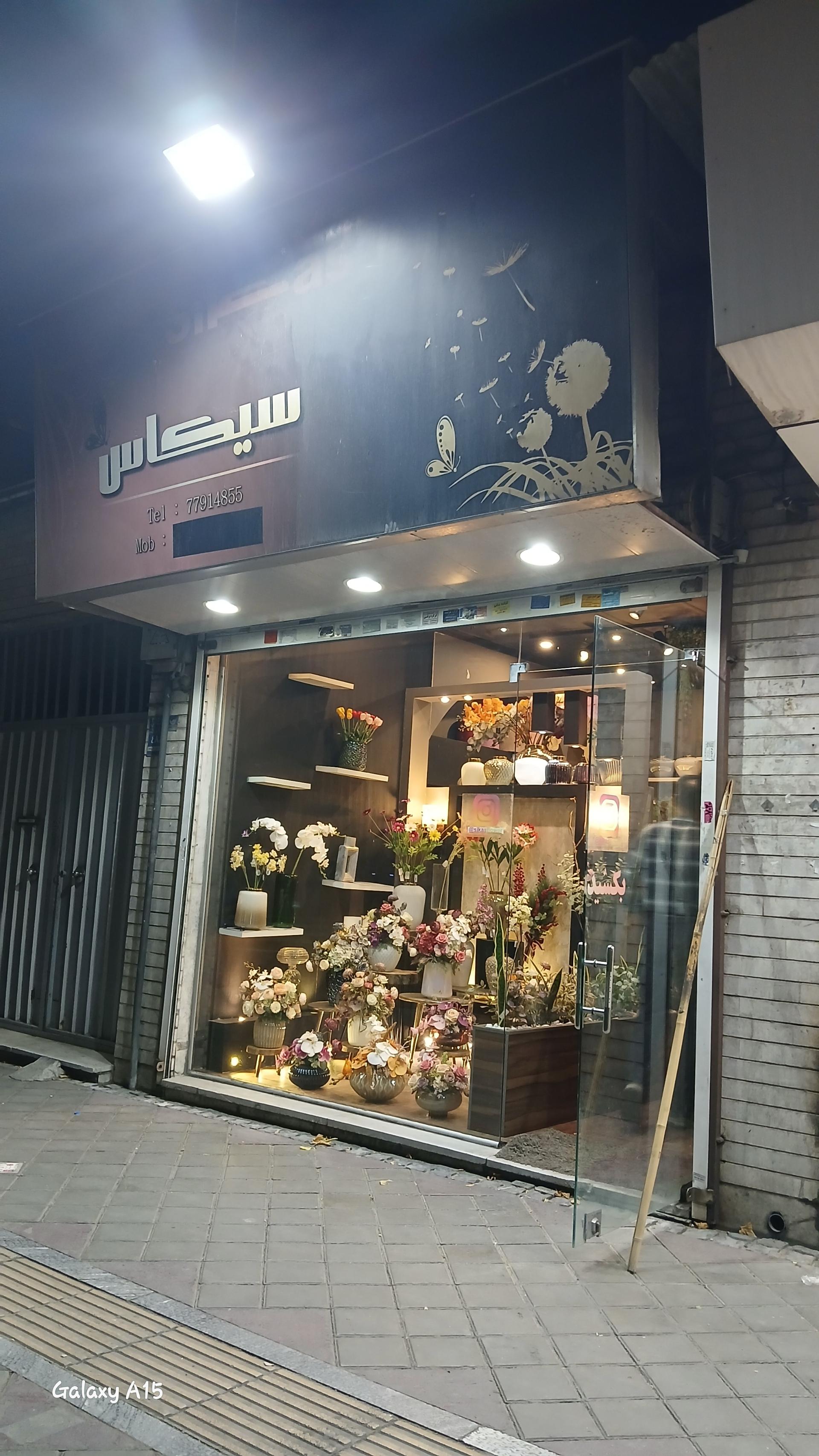 عکس گل فروشی سیکاس