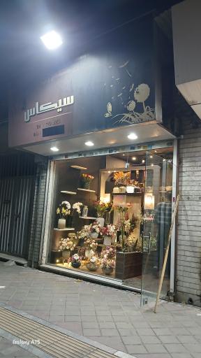 عکس گل فروشی سیکاس