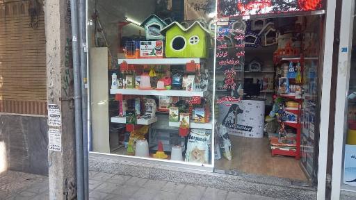 عکس خدمات حیوانات لیا