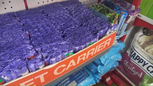 عکس خدمات حیوانات لیا