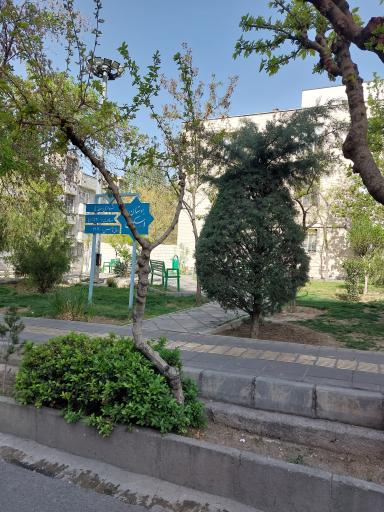 عکس پارک اسکویی