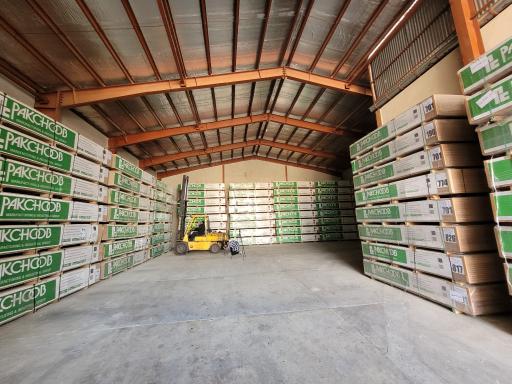 عکس پاک چوب محمودی