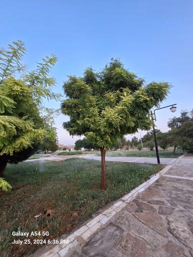 عکس بوستان ولیعصر