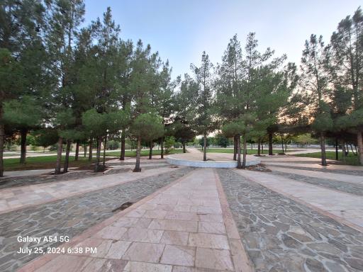 عکس بوستان ولیعصر