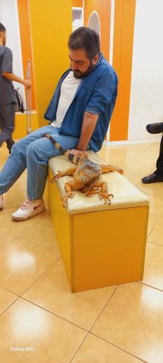 عکس بیمارستان دامپزشکی دکتر تقی پور