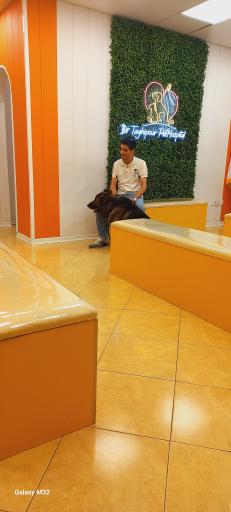 عکس بیمارستان دامپزشکی دکتر تقی پور