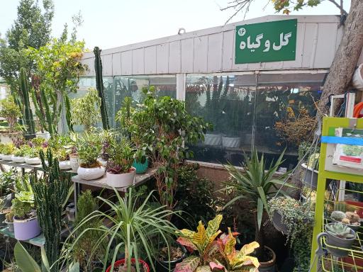 عکس بازار میوه و تره بار المپیک