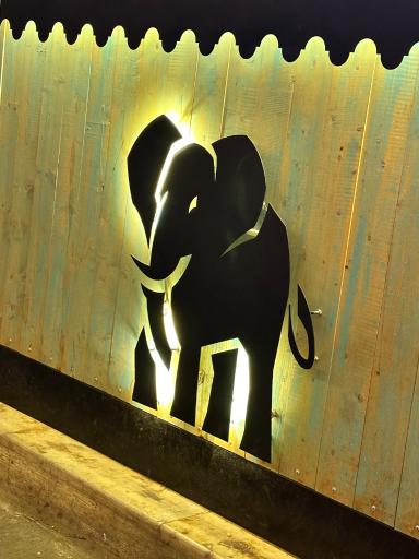 عکس کافه ماموت