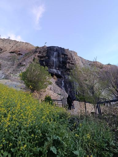بوستان کوهستانی بوستان سعدی