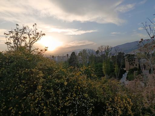 بوستان کوهستانی بوستان سعدی