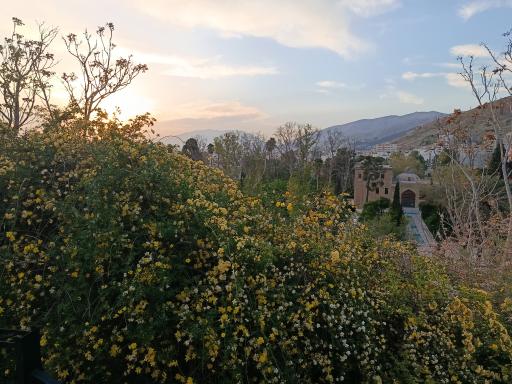 بوستان کوهستانی بوستان سعدی