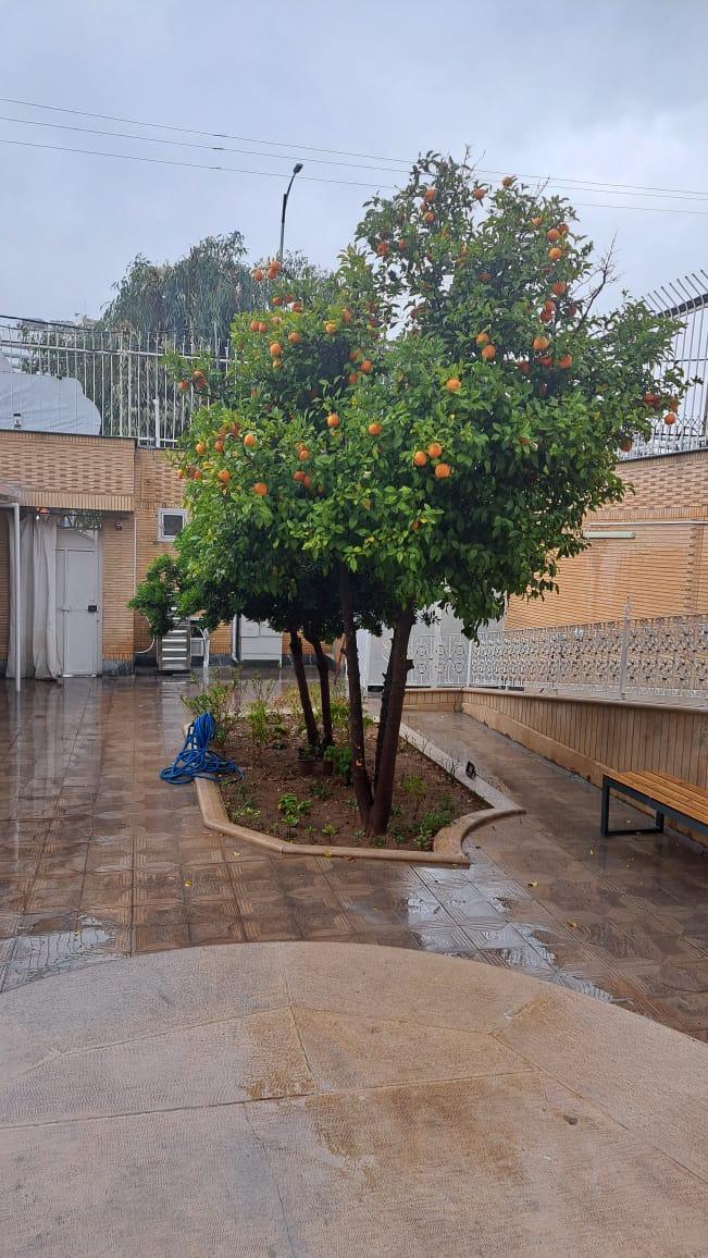 عکس دبیرستان دخترانه کیمیا