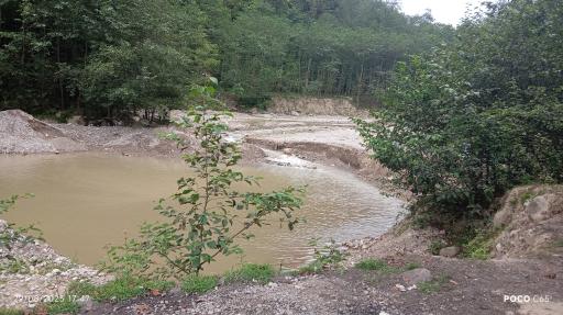 عکس جنگل واز 