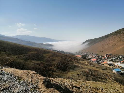 عکس جنگل واز 