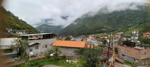 عکس جنگل واز 