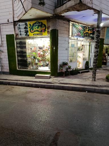 عکس گل فروشی شهگل
