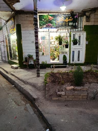 عکس گل فروشی شهگل