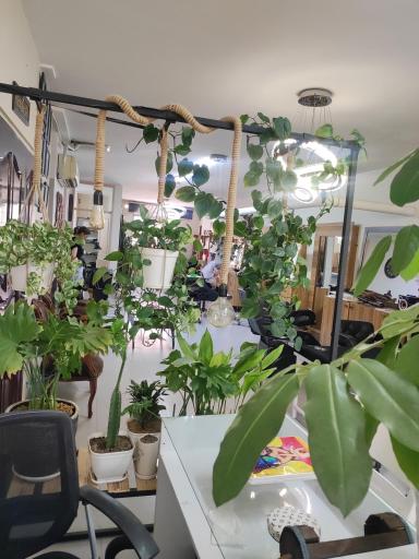 عکس سالن زیبایی ژامک