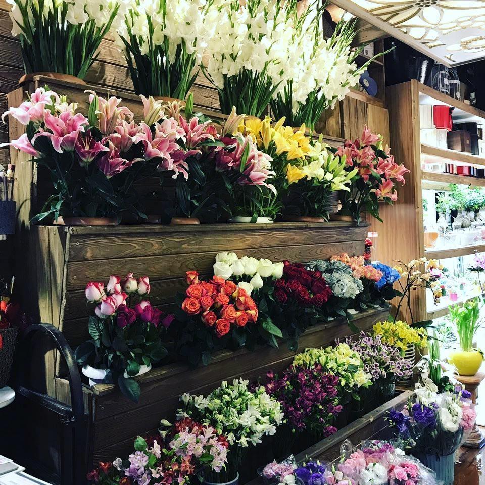 عکس گل فروشی نارسیس 