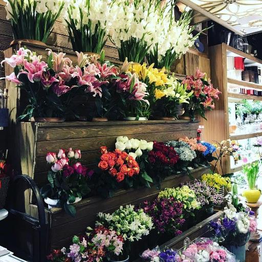 عکس گل فروشی نارسیس 