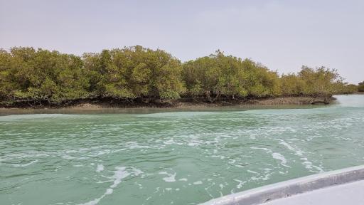 عکس بندر خمیر جنگل حرا