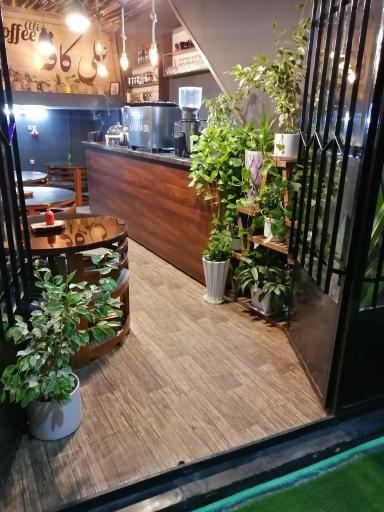 عکس علی کافه