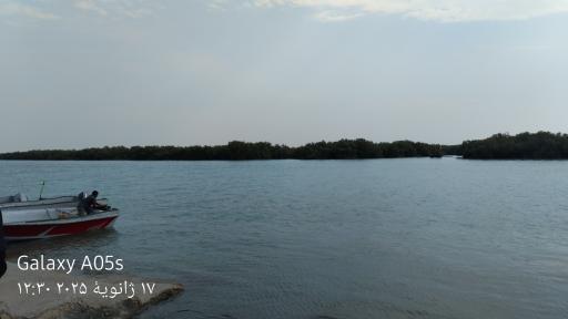 عکس بندر خمیر جنگل حرا