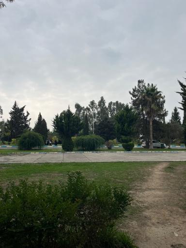 عکس دانشگاه مازندران بابلسر درب شمالی،کتابخانه مرکزی دانشگاه