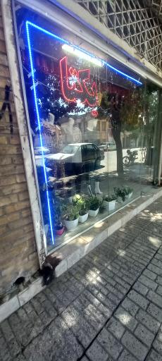 عکس گالری یکتا