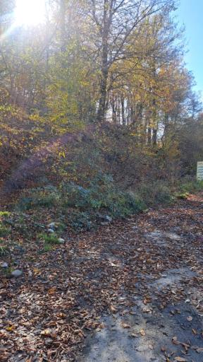 عکس آبشار اولنگ رامیان