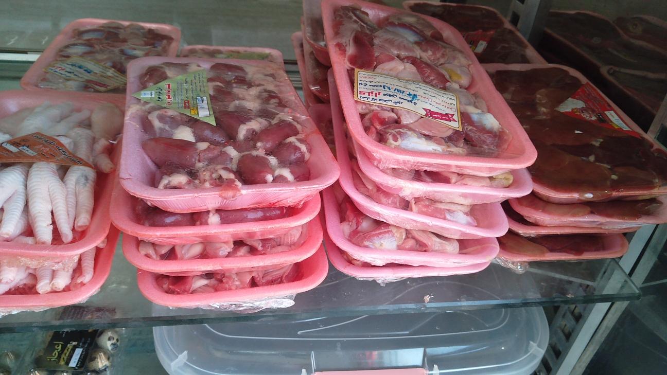 عکس مرغ وماهی سالاری