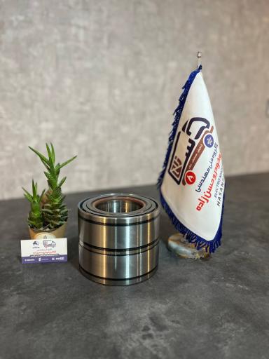 عکس الکترو خودرو حسن زاده