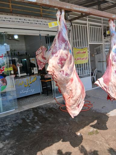 عکس قصابی وکبابی عدالت 