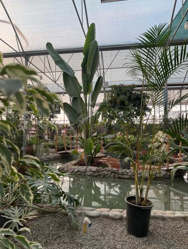 عکس گلخانه تفکر