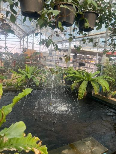 عکس گلخانه تفکر