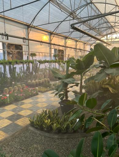 عکس گلخانه تفکر