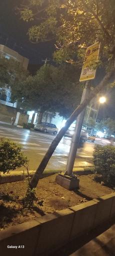 عکس  آیت الله کاشانی 35