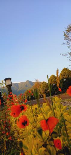 عکس مجتمع کوثر