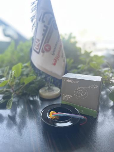 عکس الکترو خودرو حسن زاده