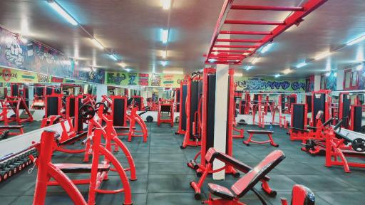 عکس باشگاه پرورش اندام محمد