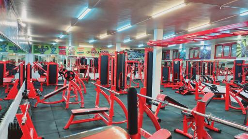 عکس باشگاه پرورش اندام محمد