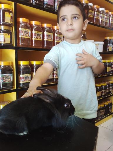 عکس فروشگاه عسل گلها